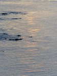 FZ010435 Sunset at Worms head, Rhossili.jpg